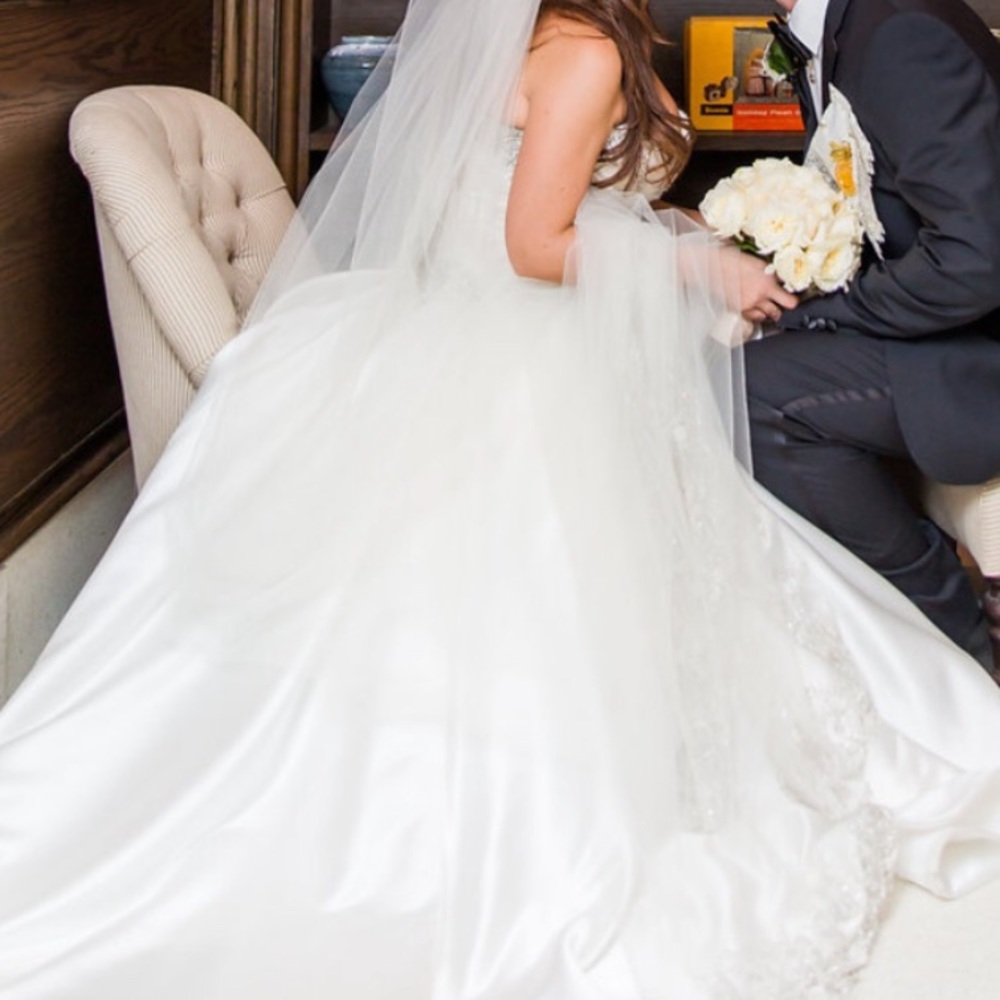Cathedral veil in ivory embroidered with crystals!